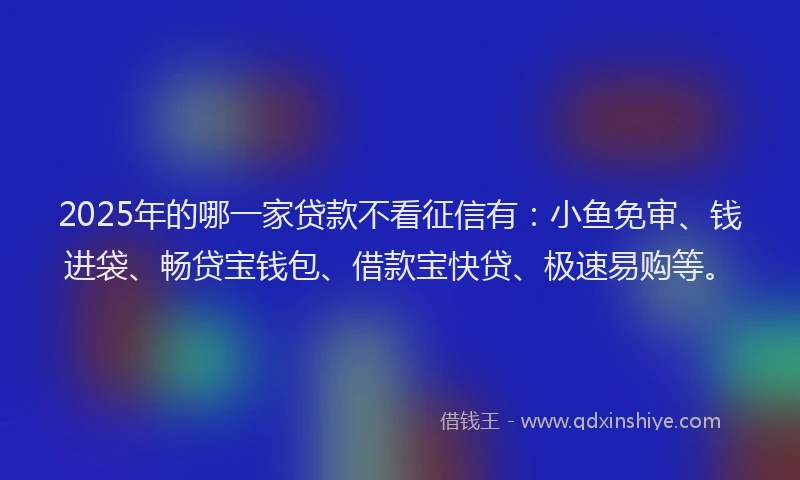 2025年的哪一家贷款不看征信有：小鱼免审、钱进袋、畅贷宝钱包、借款宝快贷、极速易购等。