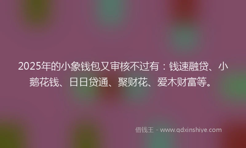 2025年的小象钱包又审核不过有：钱速融贷、小鹅花钱、日日贷通、聚财花、爱木财富等。