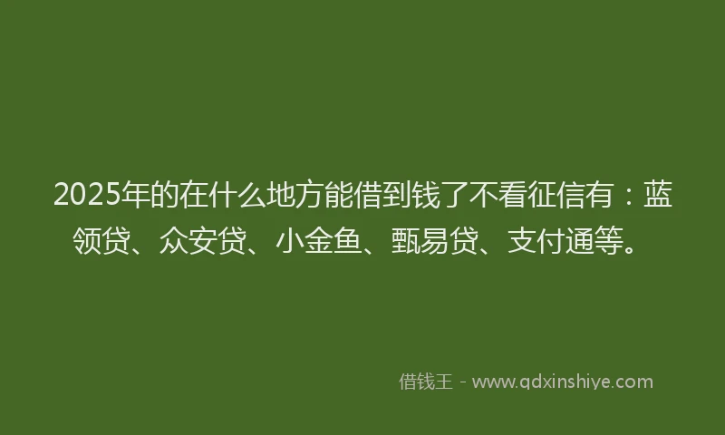 2025年的在什么地方能借到钱了不看征信有：蓝领贷、众安贷、小金鱼、甄易贷、支付通等。