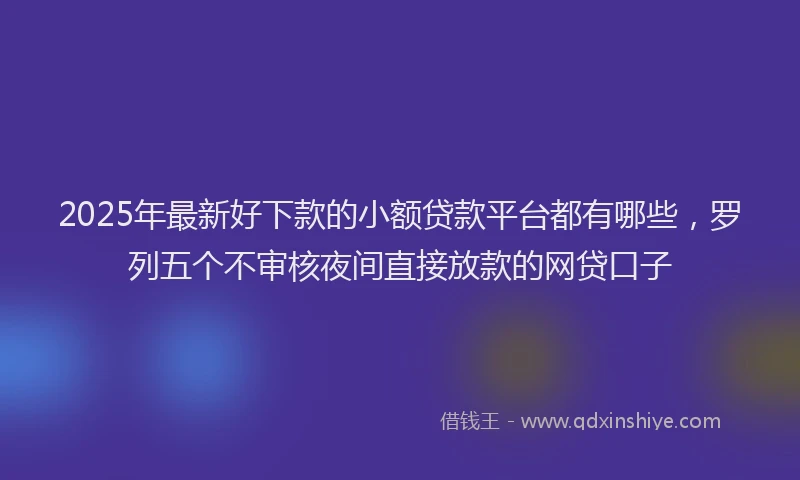 2025年最新好下款的小额贷款平台都有哪些，罗列五个不审核夜间直接放款的网贷口子