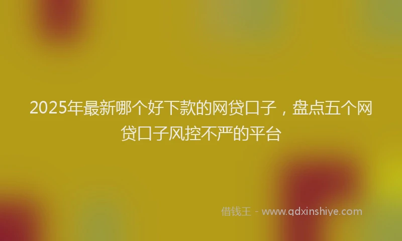 2025年最新哪个好下款的网贷口子，盘点五个网贷口子风控不严的平台