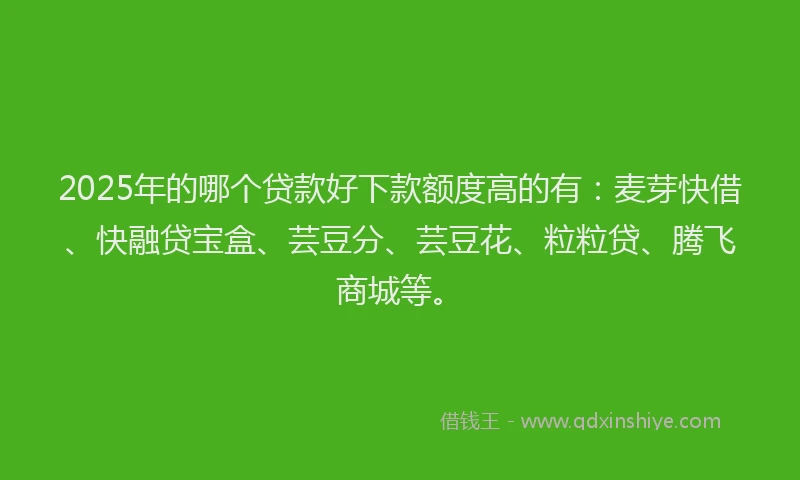 2025年的哪个贷款好下款额度高的有：麦芽快借、快融贷宝盒、芸豆分、芸豆花、粒粒贷、腾飞商城等。