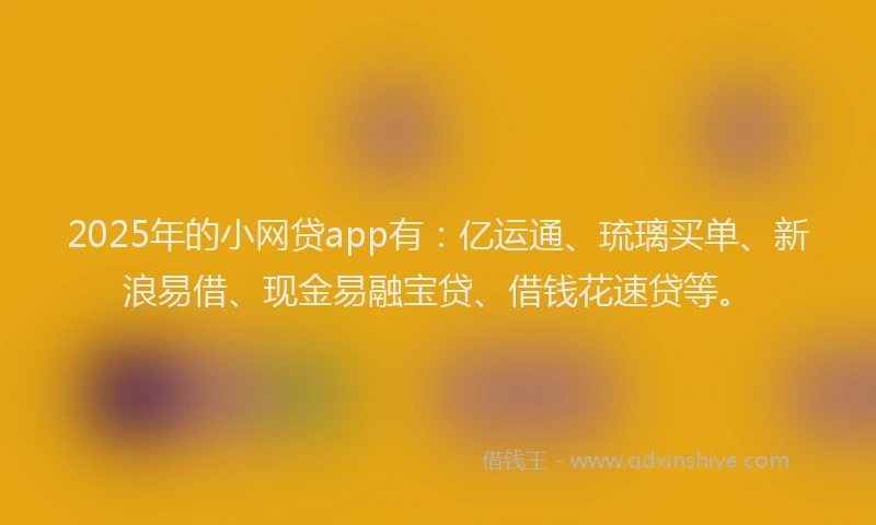 2025年的小网贷app有：亿运通、琉璃买单、新浪易借、现金易融宝贷、借钱花速贷等。