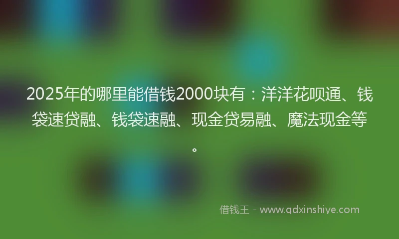 2025年的哪里能借钱2000块有：洋洋花呗通、钱袋速贷融、钱袋速融、现金贷易融、魔法现金等。