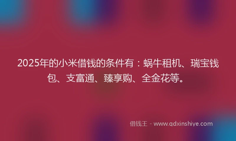 2025年的小米借钱的条件有：蜗牛租机、瑞宝钱包、支富通、臻享购、全金花等。