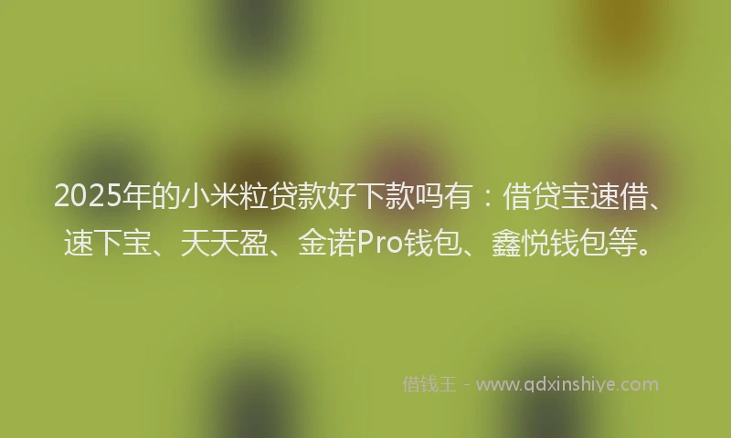 2025年的小米粒贷款好下款吗有：借贷宝速借、速下宝、天天盈、金诺Pro钱包、鑫悦钱包等。