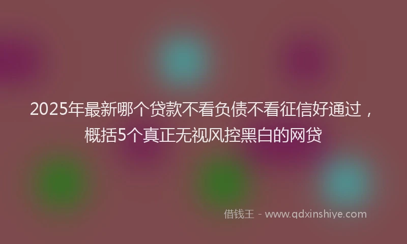 2025年最新哪个贷款不看负债不看征信好通过，概括5个真正无视风控黑白的网贷