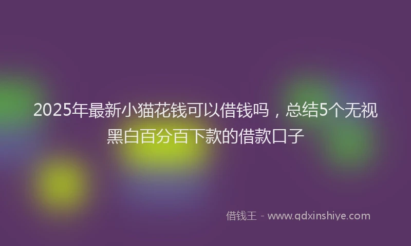 2025年最新小猫花钱可以借钱吗，总结5个无视黑白百分百下款的借款口子