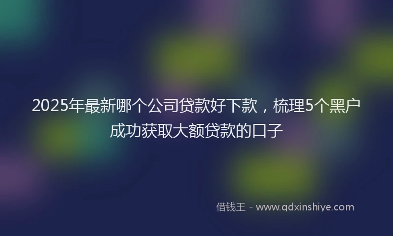 2025年最新哪个公司贷款好下款，梳理5个黑户成功获取大额贷款的口子