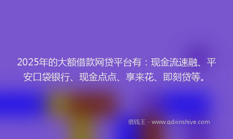 2025年的大额借款网贷平台有：现金流速融、平安口袋银行、现金点点、享来花、即刻贷等。