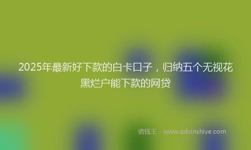 2025年最新好下款的白卡口子，归纳五个无视花黑烂户能下款的网贷