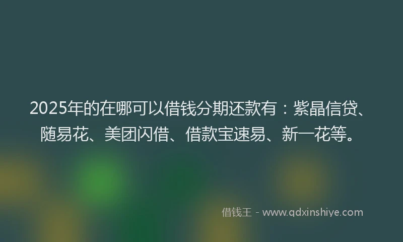 2025年的在哪可以借钱分期还款有：紫晶信贷、随易花、美团闪借、借款宝速易、新一花等。