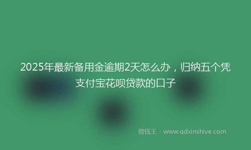 2025年最新备用金逾期2天怎么办，归纳五个凭支付宝花呗贷款的口子