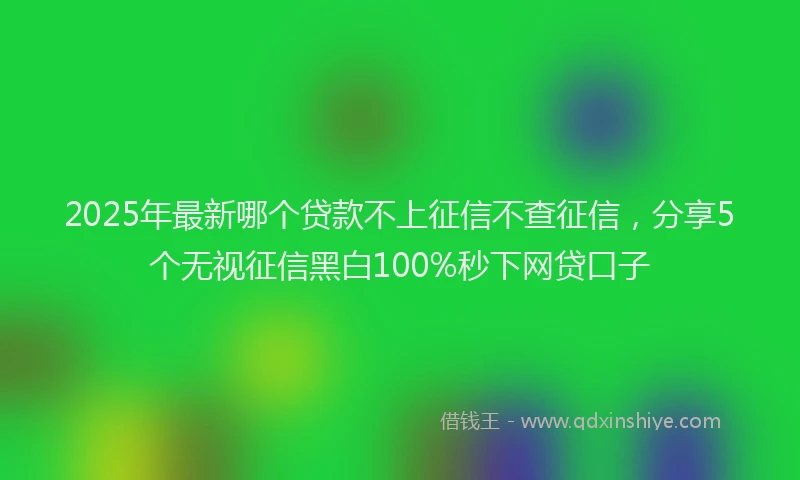 2025年最新哪个贷款不上征信不查征信，分享5个无视征信黑白100%秒下网贷口子