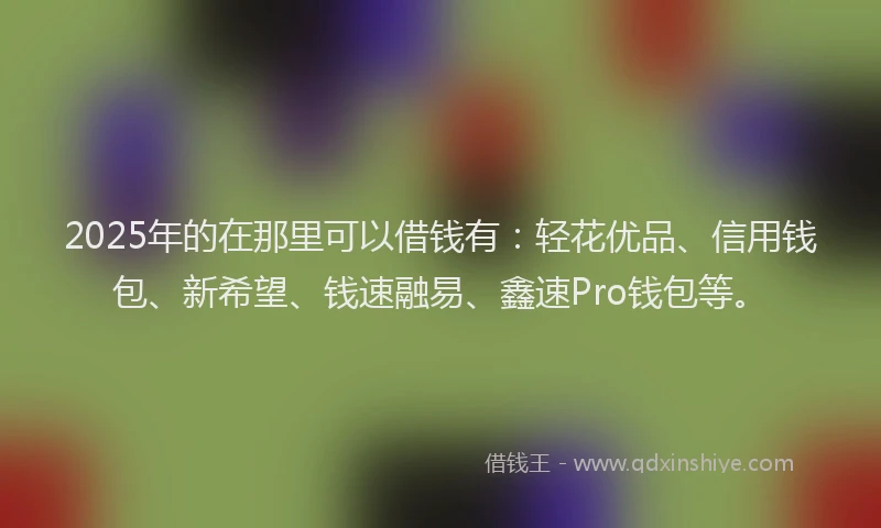 2025年的在那里可以借钱有：轻花优品、信用钱包、新希望、钱速融易、鑫速Pro钱包等。