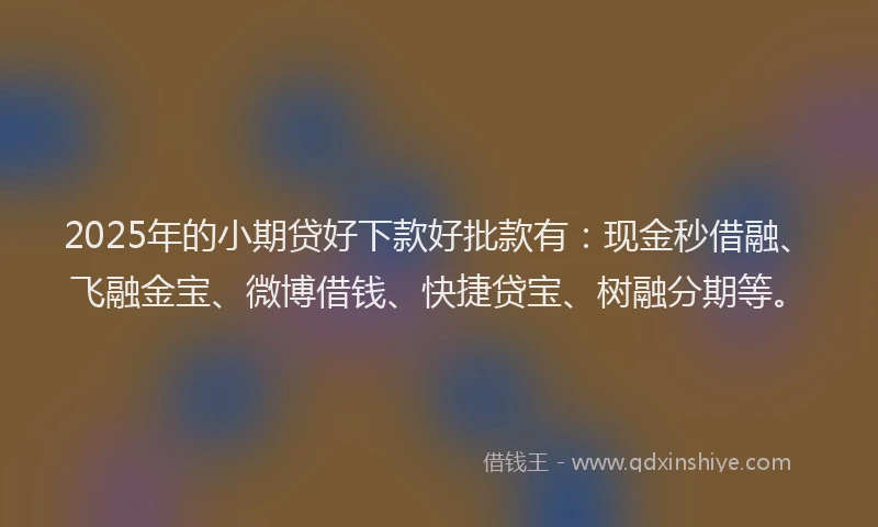 2025年的小期贷好下款好批款有：现金秒借融、飞融金宝、微博借钱、快捷贷宝、树融分期等。