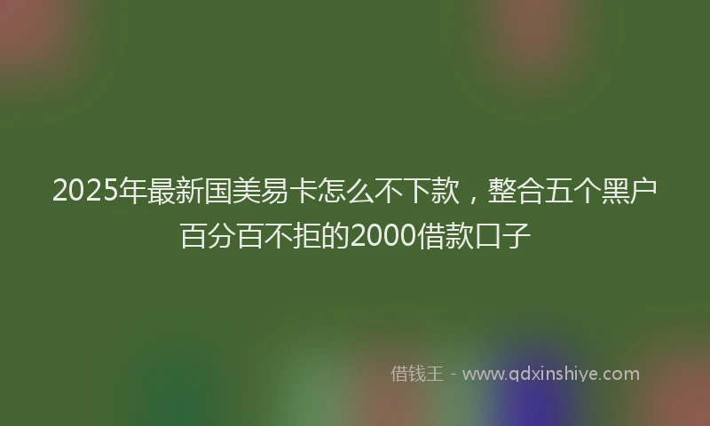 2025年最新国美易卡怎么不下款，整合五个黑户百分百不拒的2000借款口子
