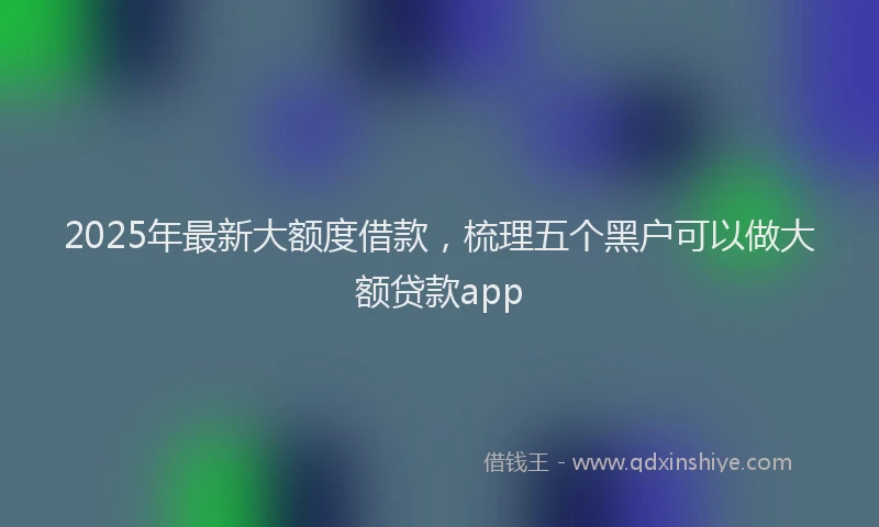 2025年最新大额度借款，梳理五个黑户可以做大额贷款app