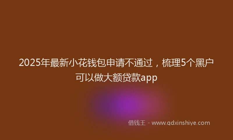 2025年最新小花钱包申请不通过，梳理5个黑户可以做大额贷款app