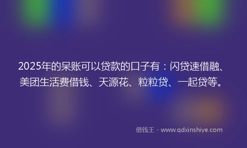 2025年的呆账可以贷款的口子有：闪贷速借融、美团生活费借钱、天源花、粒粒贷、一起贷等。