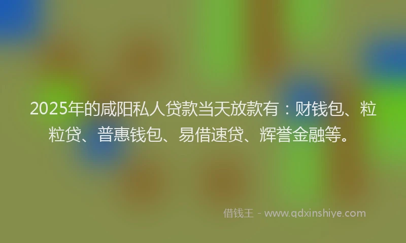 2025年的咸阳私人贷款当天放款有：财钱包、粒粒贷、普惠钱包、易借速贷、辉誉金融等。