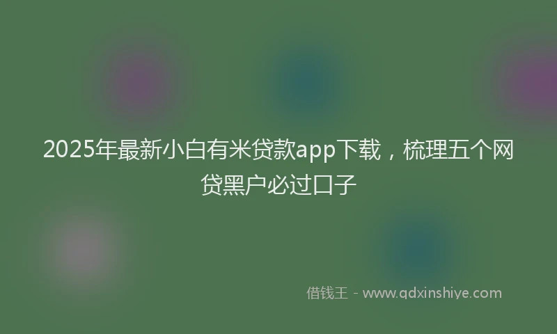 2025年最新小白有米贷款app下载，梳理五个网贷黑户必过口子