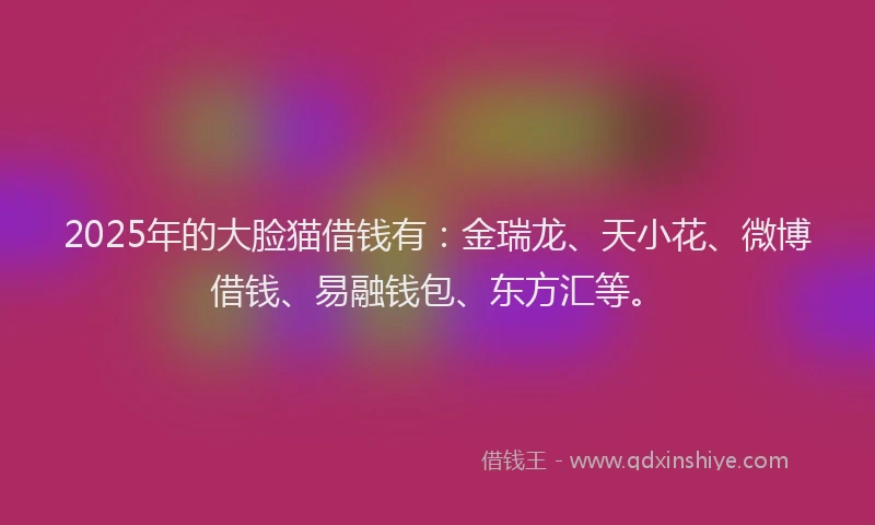 2025年的大脸猫借钱有：金瑞龙、天小花、微博借钱、易融钱包、东方汇等。