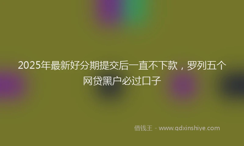 2025年最新好分期提交后一直不下款，罗列五个网贷黑户必过口子