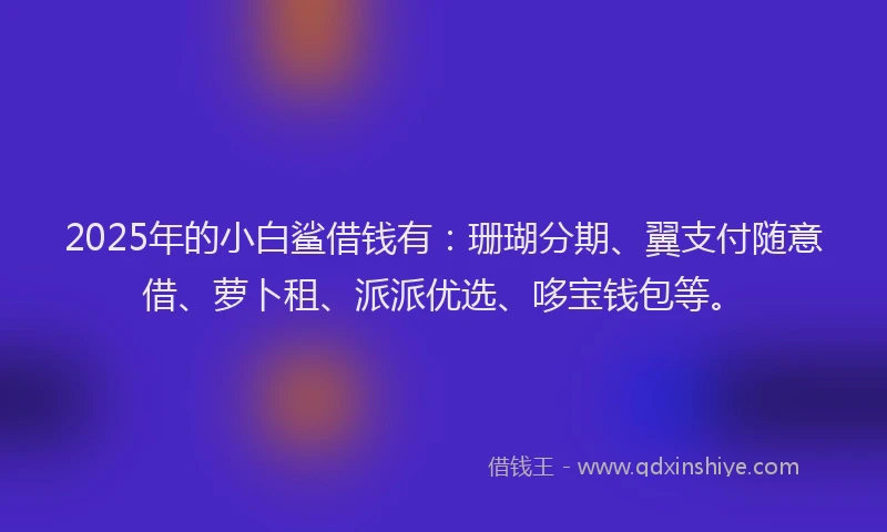 2025年的小白鲨借钱有：珊瑚分期、翼支付随意借、萝卜租、派派优选、哆宝钱包等。