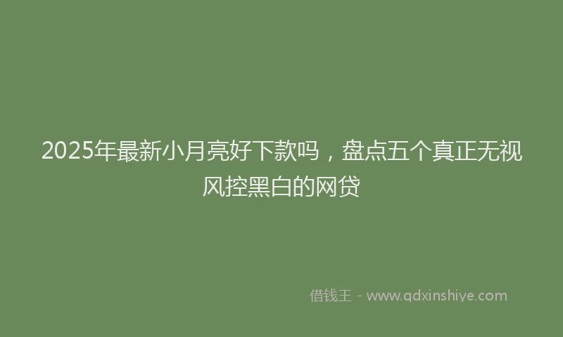 2025年最新小月亮好下款吗，盘点五个真正无视风控黑白的网贷
