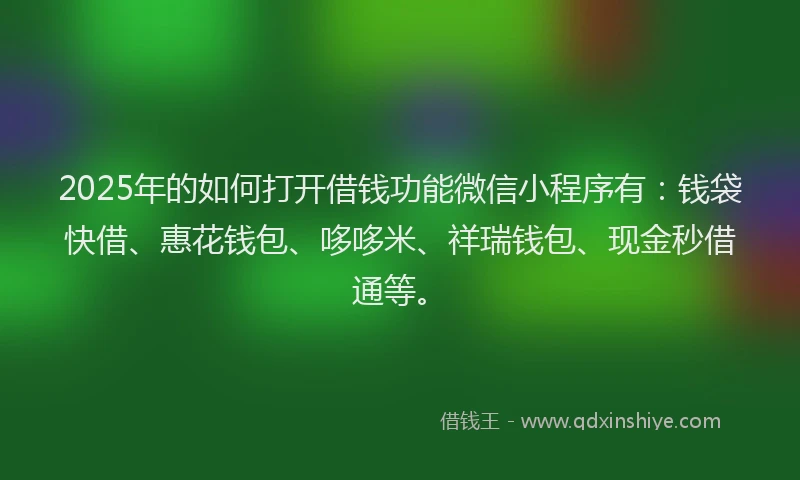 2025年的如何打开借钱功能微信小程序有：钱袋快借、惠花钱包、哆哆米、祥瑞钱包、现金秒借通等。