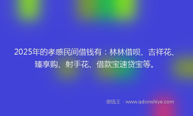 2025年的孝感民间借钱有：林林借呗、吉祥花、臻享购、射手花、借款宝速贷宝等。