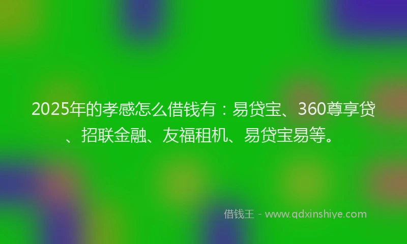 2025年的孝感怎么借钱有：易贷宝、360尊享贷、招联金融、友福租机、易贷宝易等。