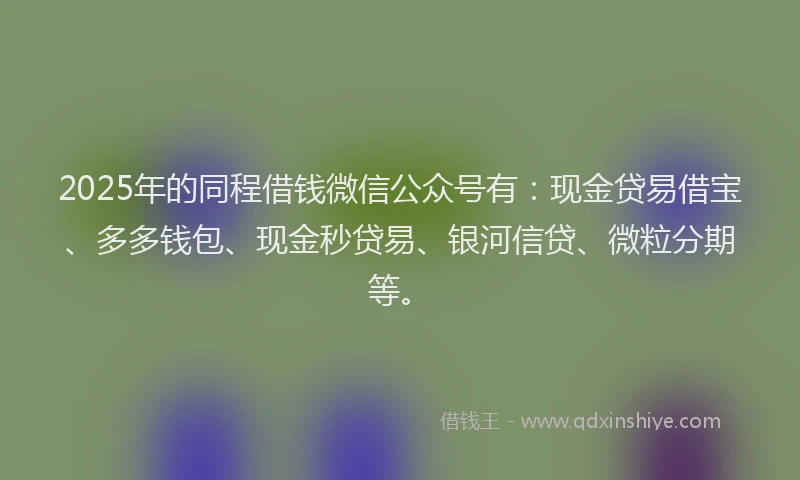 2025年的同程借钱微信公众号有：现金贷易借宝、多多钱包、现金秒贷易、银河信贷、微粒分期等。