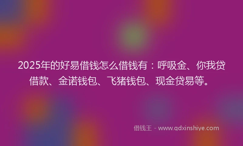 2025年的好易借钱怎么借钱有：呼吸金、你我贷借款、金诺钱包、飞猪钱包、现金贷易等。