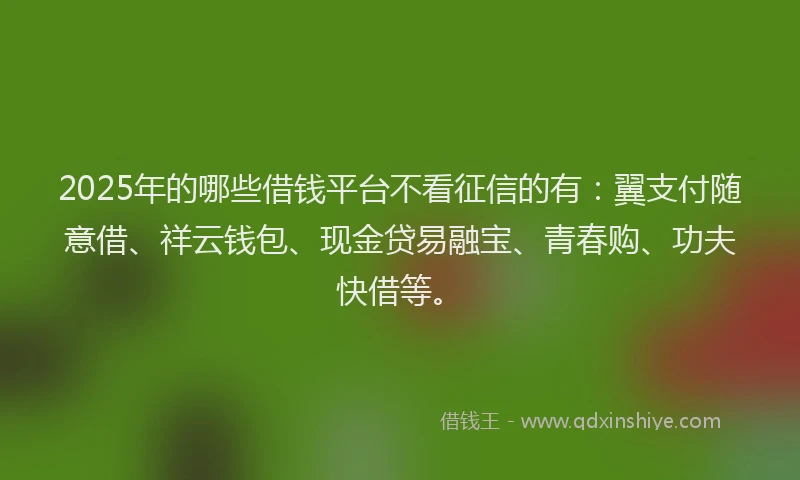 2025年的哪些借钱平台不看征信的有：翼支付随意借、祥云钱包、现金贷易融宝、青春购、功夫快借等。