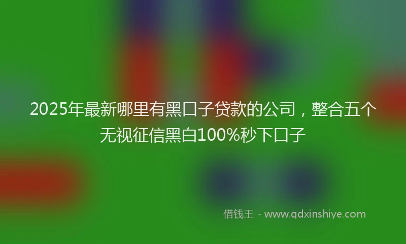 2025年最新哪里有黑口子贷款的公司，整合五个无视征信黑白100%秒下口子
