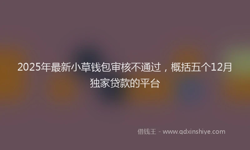 2025年最新小草钱包审核不通过，概括五个12月独家贷款的平台