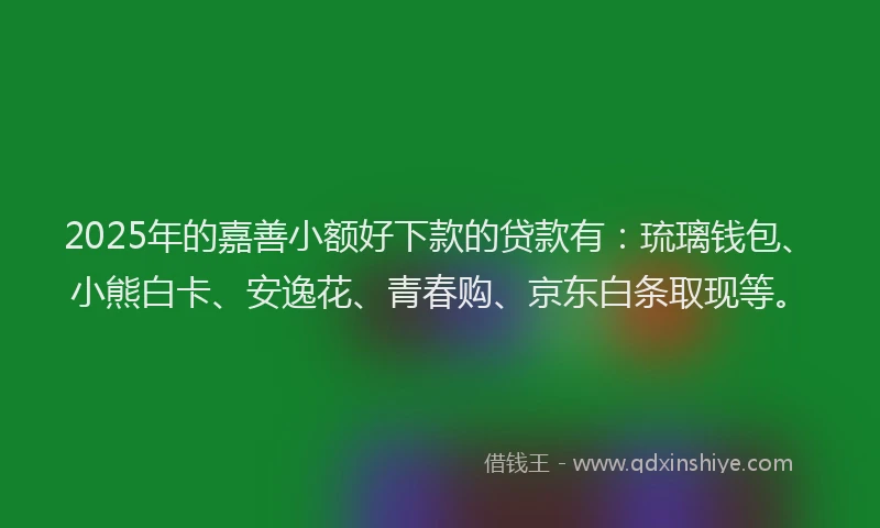 2025年的嘉善小额好下款的贷款有：琉璃钱包、小熊白卡、安逸花、青春购、京东白条取现等。