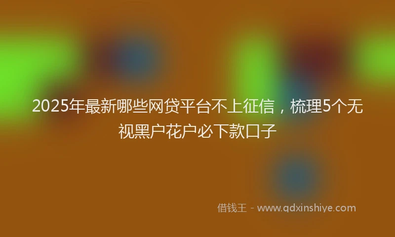 2025年最新哪些网贷平台不上征信，梳理5个无视黑户花户必下款口子
