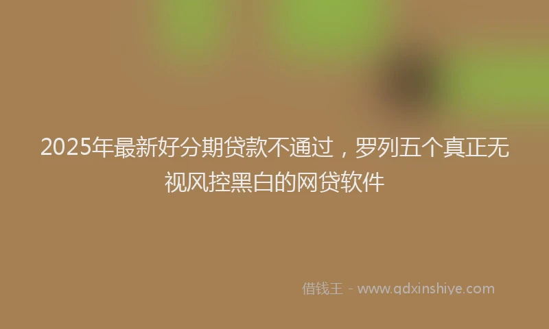 2025年最新好分期贷款不通过，罗列五个真正无视风控黑白的网贷软件