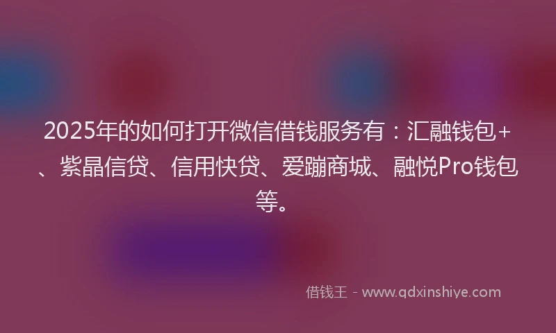 2025年的如何打开微信借钱服务有：汇融钱包+、紫晶信贷、信用快贷、爱蹦商城、融悦Pro钱包等。