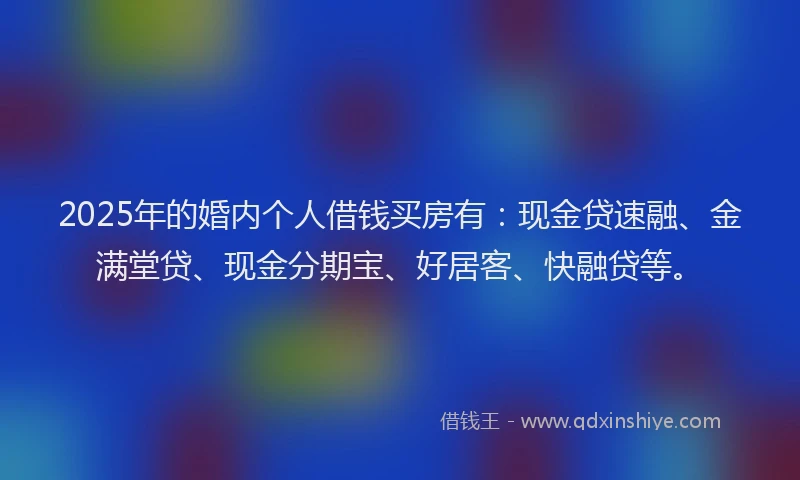 2025年的婚内个人借钱买房有：现金贷速融、金满堂贷、现金分期宝、好居客、快融贷等。