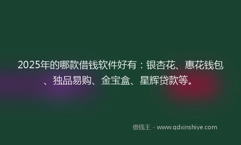 2025年的哪款借钱软件好有：银杏花、惠花钱包、独品易购、金宝盒、星辉贷款等。