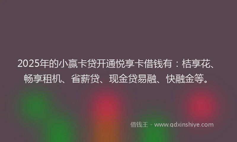 2025年的小赢卡贷开通悦享卡借钱有：桔享花、畅享租机、省薪贷、现金贷易融、快融金等。
