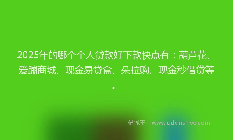 2025年的哪个个人贷款好下款快点有：葫芦花、爱蹦商城、现金易贷盒、朵拉购、现金秒借贷等。