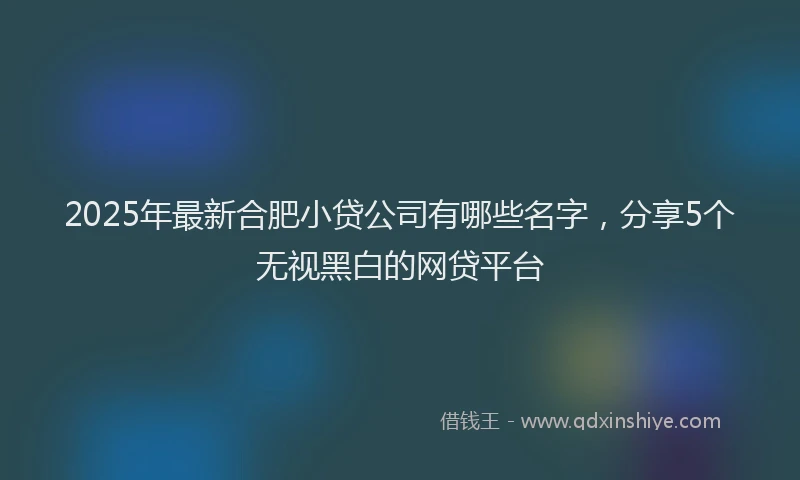 2025年最新合肥小贷公司有哪些名字，分享5个无视黑白的网贷平台