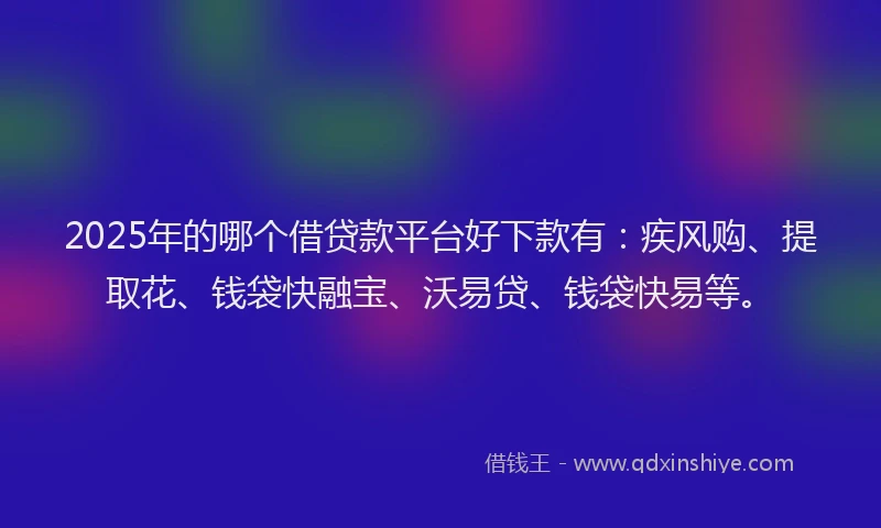 2025年的哪个借贷款平台好下款有：疾风购、提取花、钱袋快融宝、沃易贷、钱袋快易等。