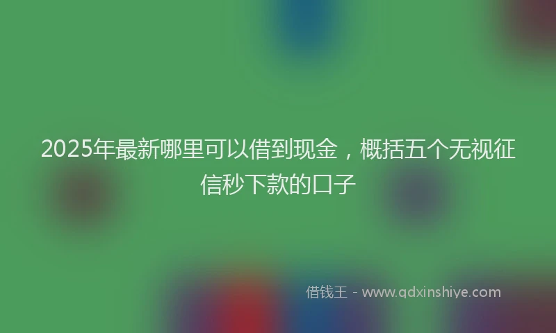 2025年最新哪里可以借到现金，概括五个无视征信秒下款的口子