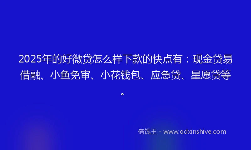 2025年的好微贷怎么样下款的快点有：现金贷易借融、小鱼免审、小花钱包、应急贷、星愿贷等。